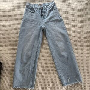 Madewell Perfect Vintage Wide-Leg Crop Jean
